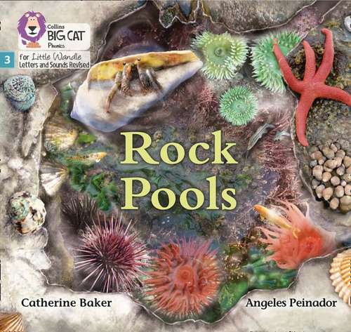Book cover of Rock Pools (PDF): Phase 3 (Big Cat Phonics For Little Wandle Letters And Sounds Revised)