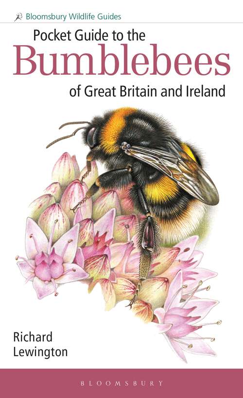 Book cover of Pocket Guide to the Bumblebees of Great Britain and Ireland (Bloomsbury Wildlife Guides)