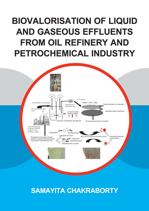 Book cover of Biovalorisation of Liquid and Gaseous Effluents of Oil Refinery and Petrochemical Industry (IHE Delft PhD Thesis Series)