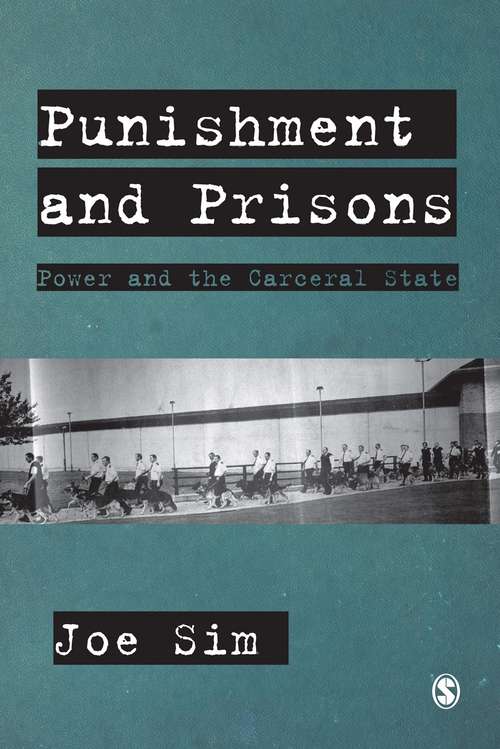 Book cover of Punishment and Prisons: Power and the Carceral State (PDF)