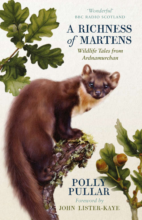 Book cover of A Richness of Martens: Wildlife Tales from Ardnamurchan