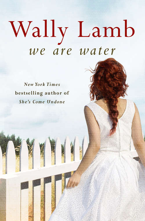 Book cover of We Are Water (ePub edition) (P. S. Ser.)