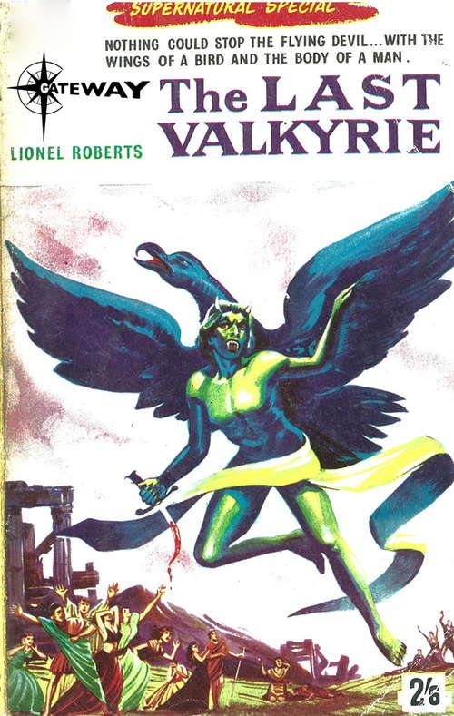 Book cover of The Last Valkyrie
