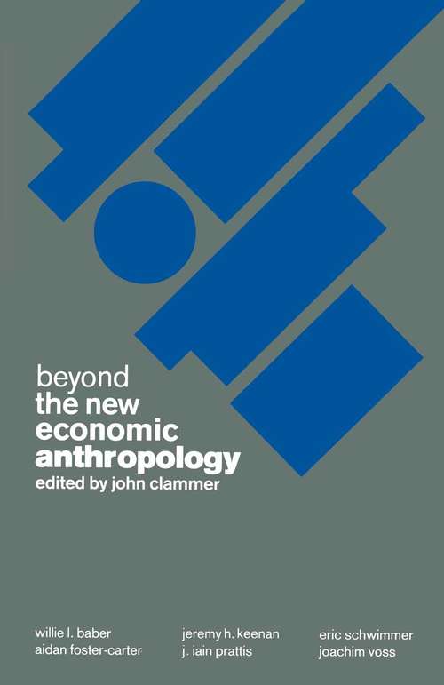 Book cover of Beyond the New Economic Anthropology: (pdf) (1st ed. 1987)