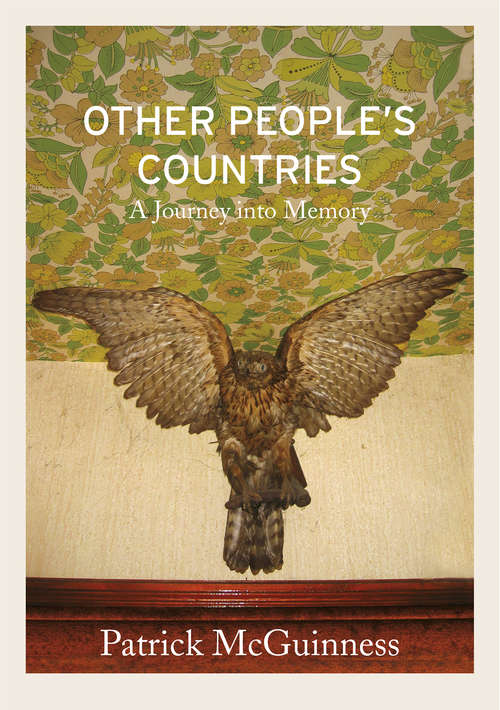 Book cover of Other People's Countries: A Journey into Memory