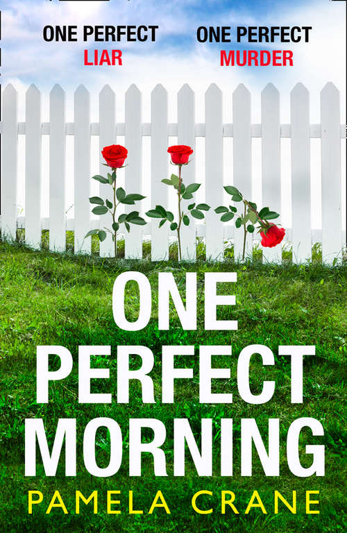 Book cover of One Perfect Morning
