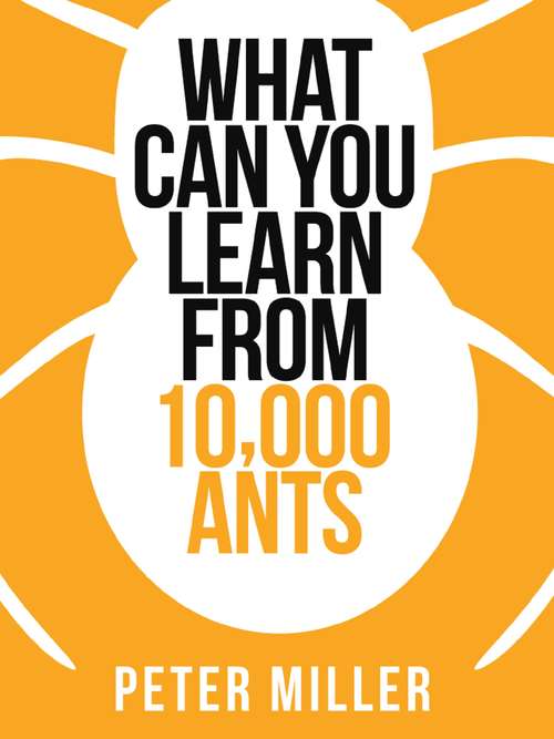 Book cover of What You Can Learn From 10,000 Ants (ePub edition) (Collins Shorts #4)