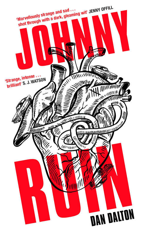 Book cover of Johnny Ruin