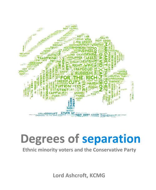 Book cover of Degrees of Separation: Ethnic Minority Voters and the Conservative Party