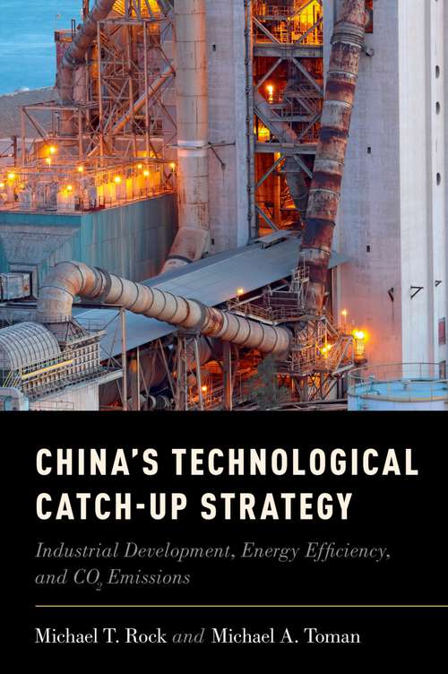 Book cover of China's Technological Catch-Up Strategy: Industrial Development, Energy Efficiency, and CO2 Emissions