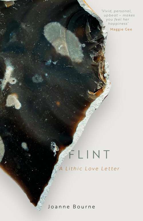 Book cover of Flint: a lithic love letter (G - Reference,information And Interdisciplinary Subjects Ser.)