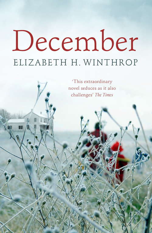 Book cover of December