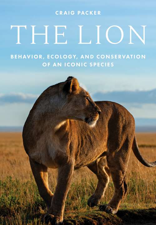 Book cover of The Lion: Behavior, Ecology, and Conservation of an Iconic Species