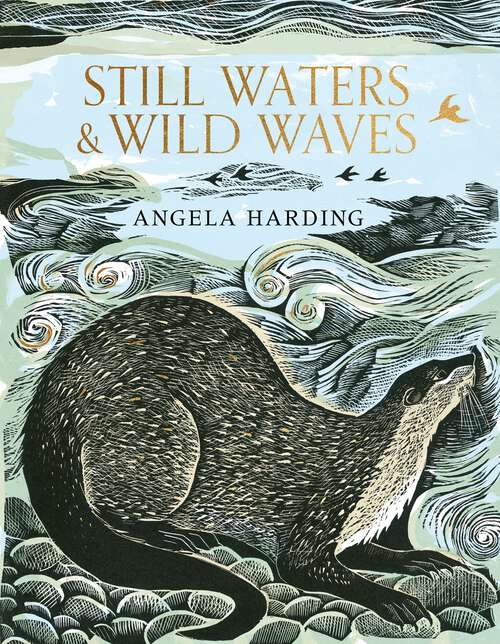 Book cover of Still Waters & Wild Waves: the beautiful new book from printmaker and illustrator Angela Harding