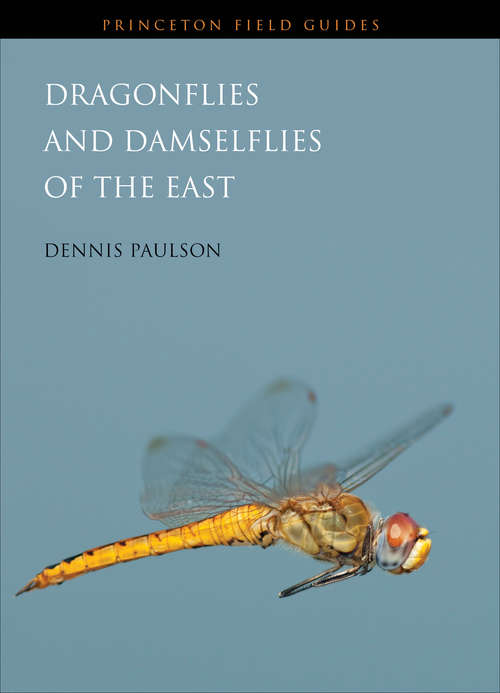 Book cover of Dragonflies and Damselflies of the East