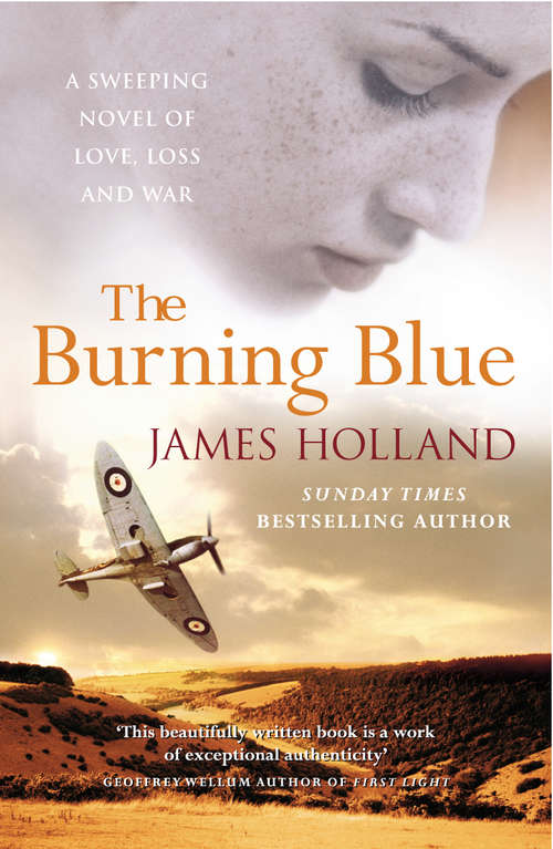 Book cover of The Burning Blue