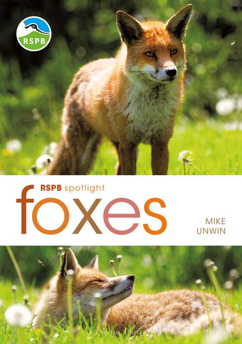 Book cover of RSPB Spotlight: Foxes