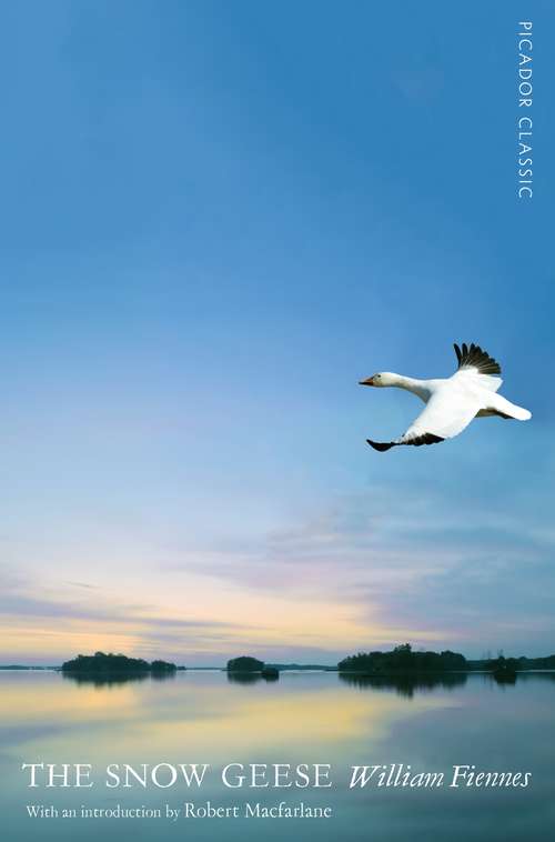 Book cover of The Snow Geese: Picador Classic (Picador Classic #17)