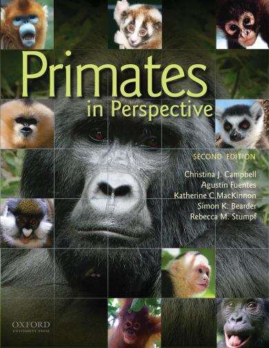Book cover of Primates In Perspective