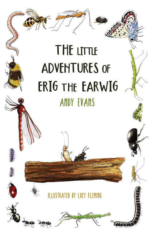 Book cover of The Little Adventures of Erig the Earwig