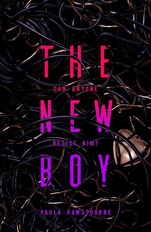 Book cover of The New Boy