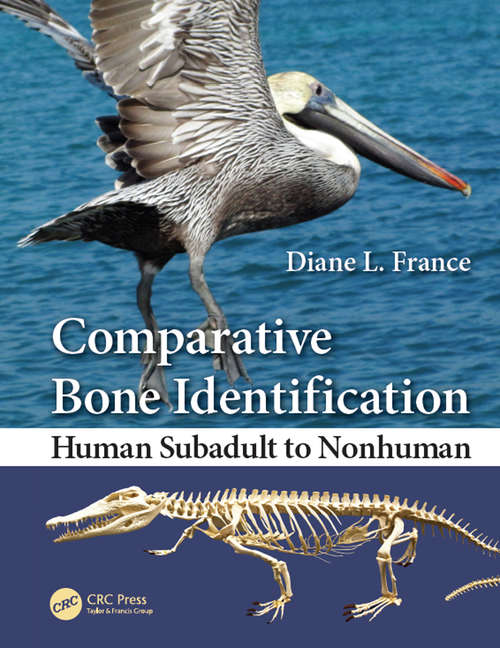 Book cover of Comparative Bone Identification: Human Subadult to Nonhuman (2)