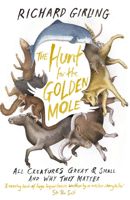 Book cover of The Hunt for the Golden Mole: All Creatures Great and Small, and Why They Matter