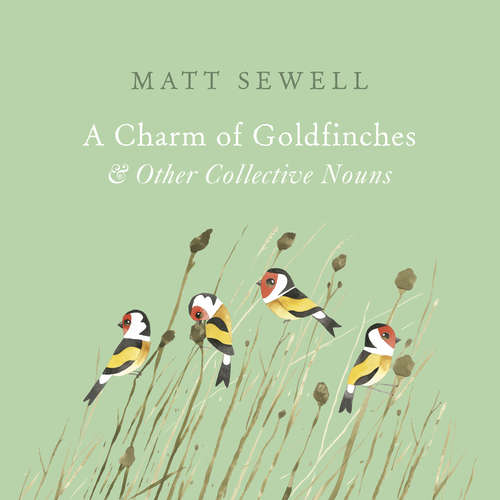 Book cover of A Charm of Goldfinches and Other Collective Nouns