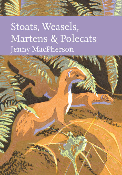 Book cover of Stoats, Weasels, Martens and Polecats (Collins New Naturalist Library)