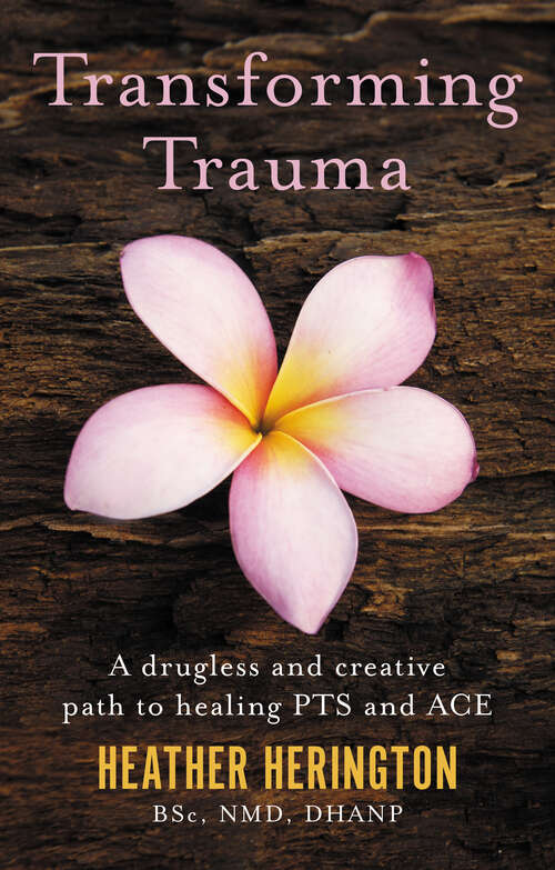 Book cover of Transforming Trauma: A drugless and creative path to healing PTS and ACE