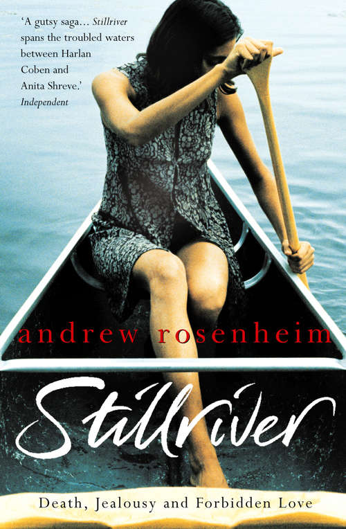 Book cover of Stillriver: Death, Jealousy And Forbidden Love (Charnwood Large Print Ser.)