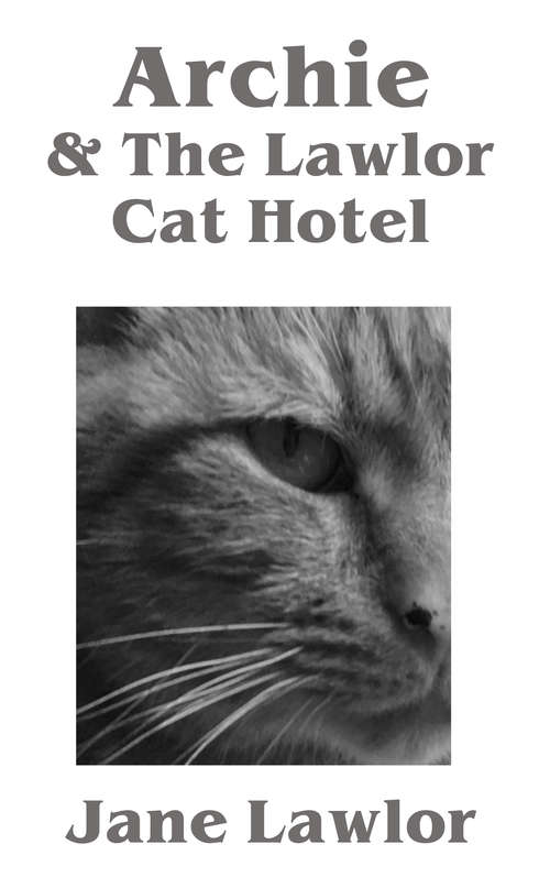 Book cover of Archie & the Lawlor Cat Hotel