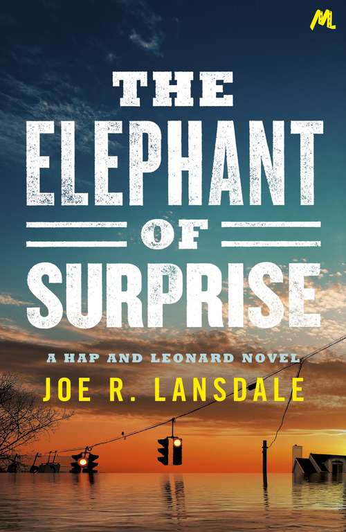 Book cover of The Elephant of Surprise (Hap And Leonard Ser.)