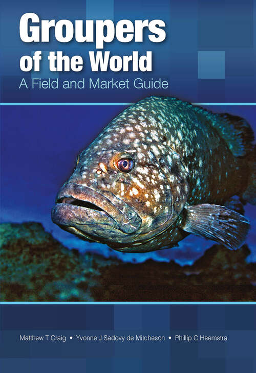 Book cover of Groupers of the World: A Field and Market Guide