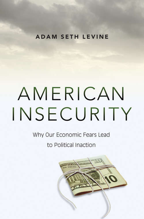 Book cover of American Insecurity: Why Our Economic Fears Lead to Political Inaction (PDF)