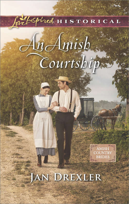 Book cover of An Amish Courtship: An Amish Courtship (ePub edition) (Amish Country Brides #1)