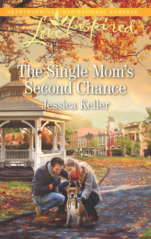 Book cover of The Single Mom's Second Chance: Their Pretend Amish Courtship Second-chance Cowboy The Single Mom's Second Chance (ePub edition) (Goose Harbor #6)