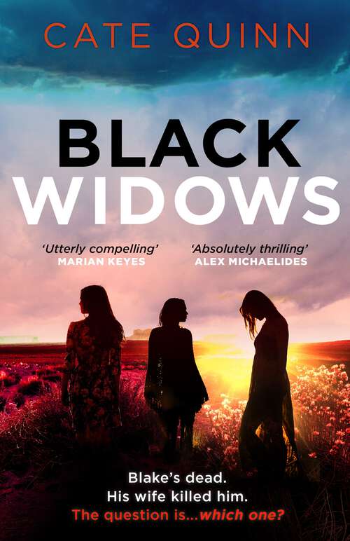 Book cover of Black Widows: Blake’s dead. His wife killed him. The question is . . . which one?