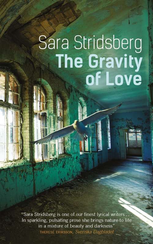 Book cover of The Gravity of Love
