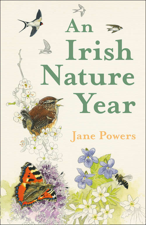 Book cover of An Irish Nature Year