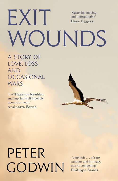 Book cover of Exit Wounds: A Story of Love, Loss and Occasional Wars (Main)