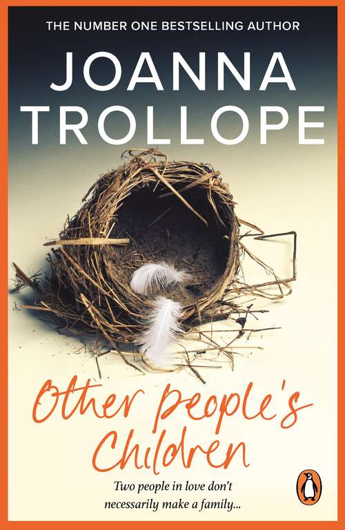 Book cover of Other People's Children: A Novel