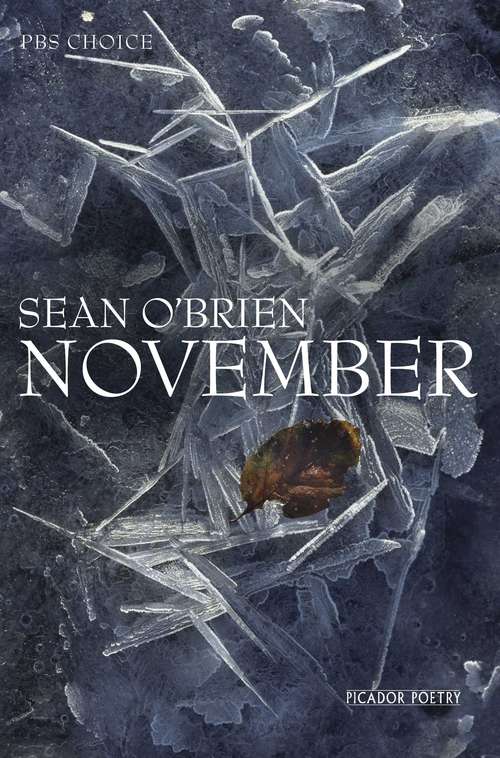 Book cover of November