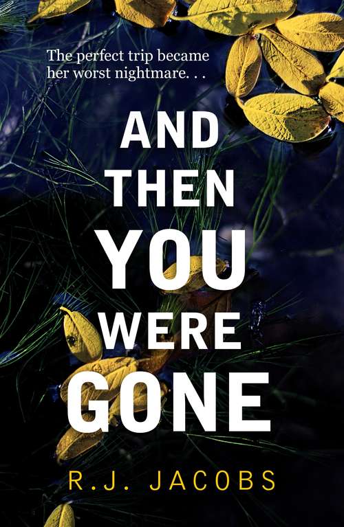 Book cover of And Then You Were Gone: the compulsive psychological thriller 'that takes hold and won't let go'