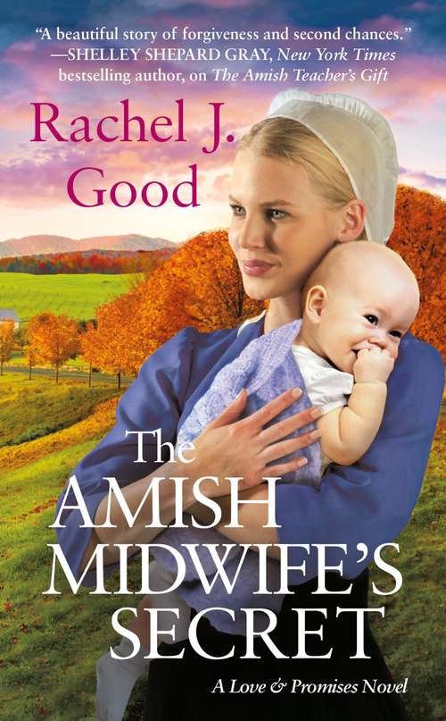 Book cover of The Amish Midwife's Secret (Love and Promises #2)