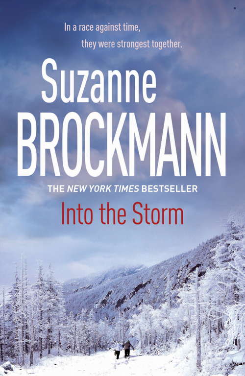 Book cover of Into the Storm: Troubleshooters 10  (Troubleshooters #10)