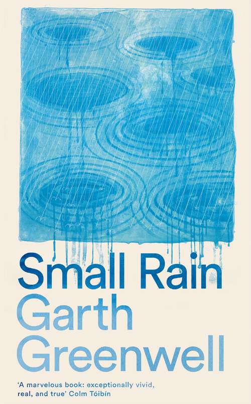 Book cover of Small Rain