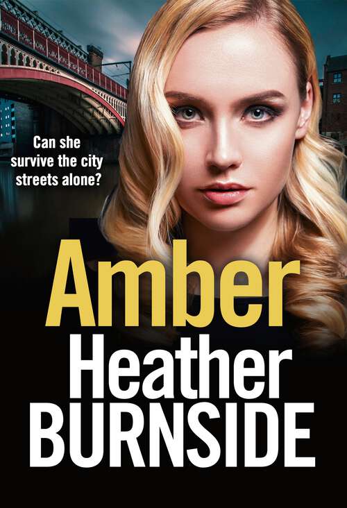 Book cover of Amber (The Working Girls #4)