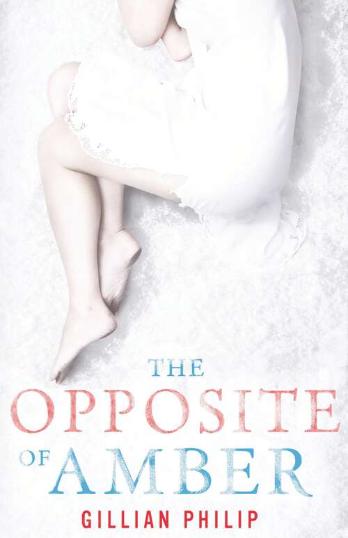 Book cover of The Opposite of Amber