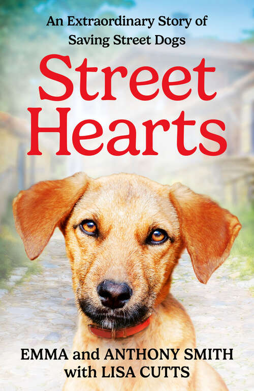 Book cover of Street Hearts: An Extraordinary Story of Saving Street Dogs